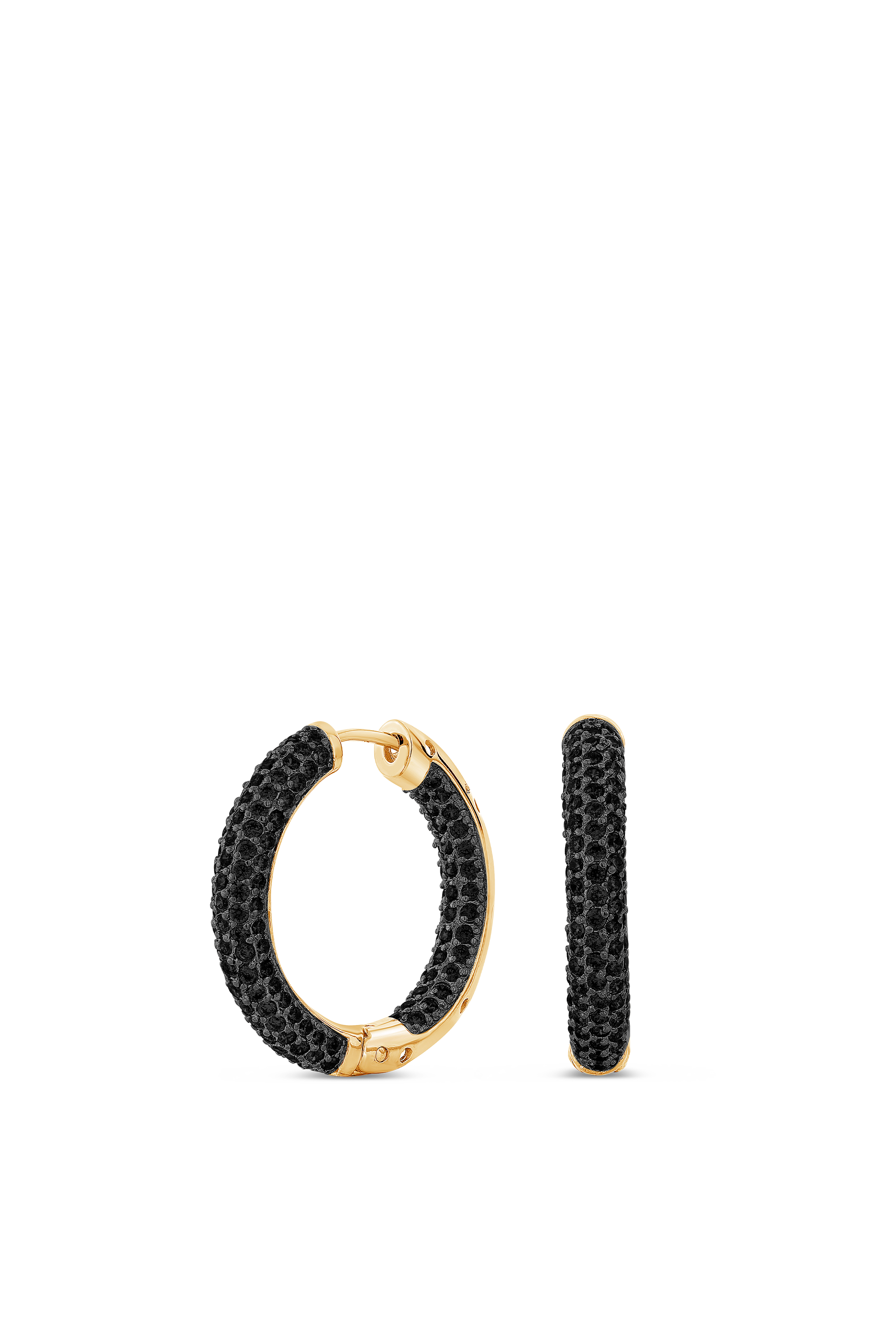Bold Earrings