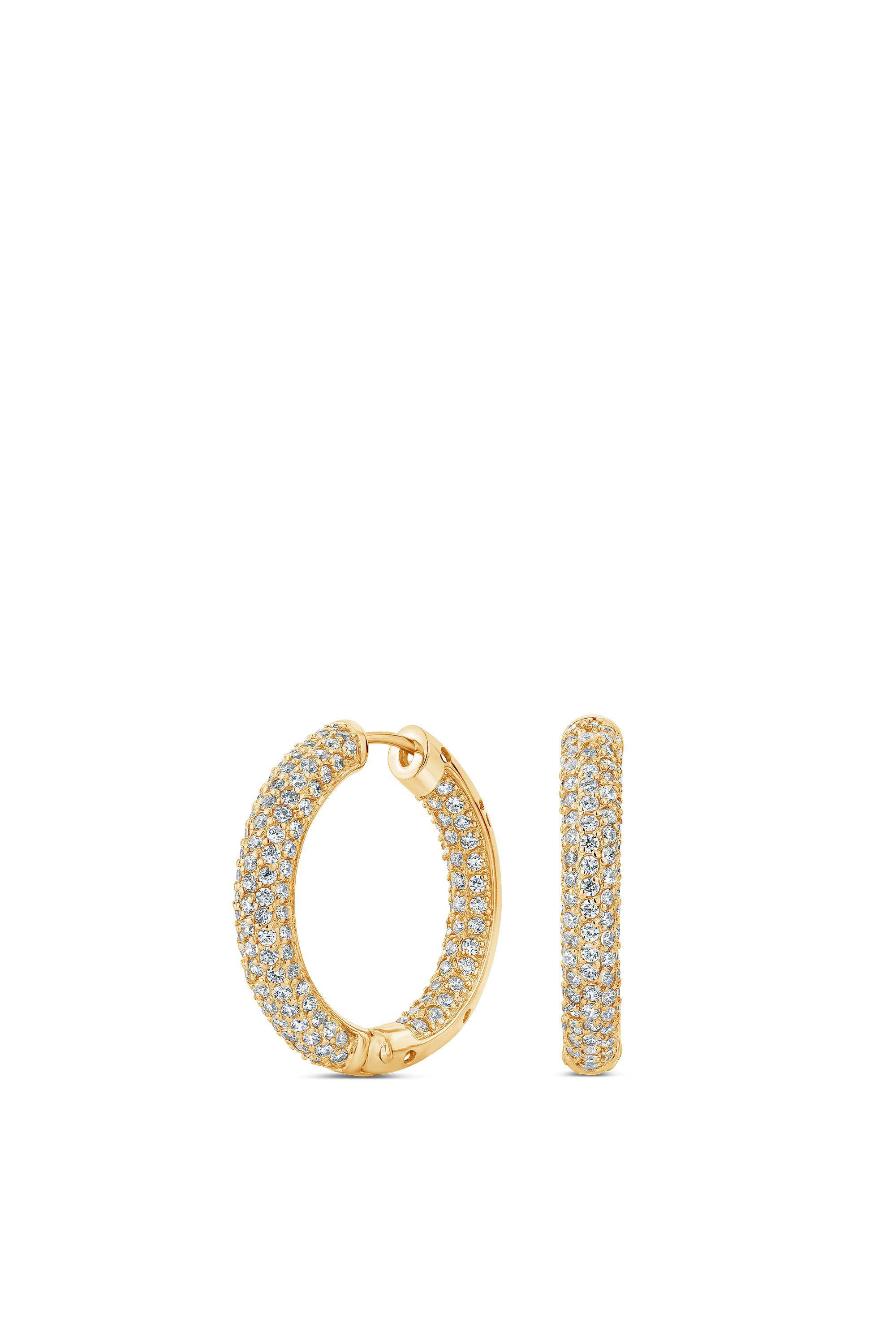 Bold Earrings