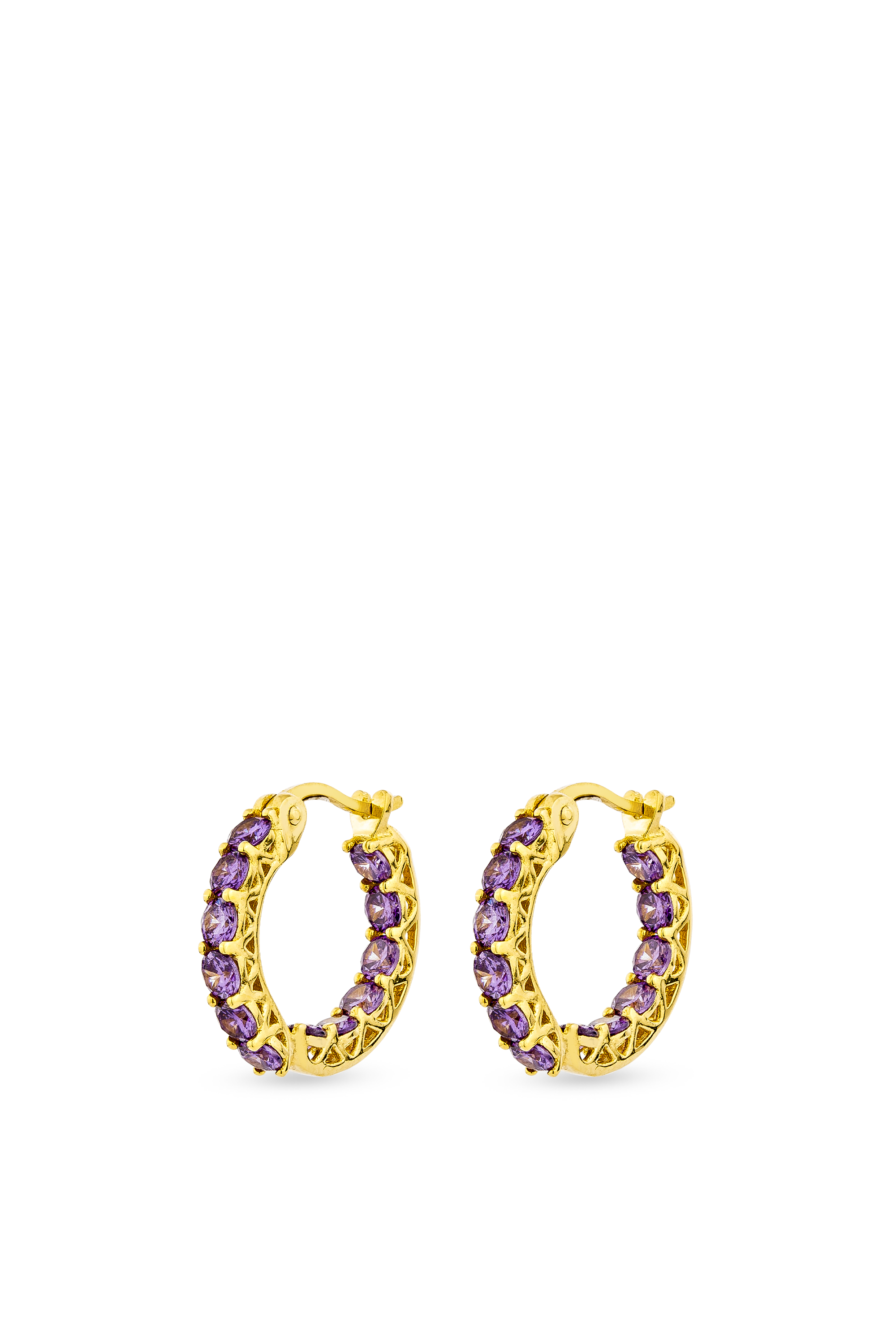 Luxe Hoop Petite Earrings