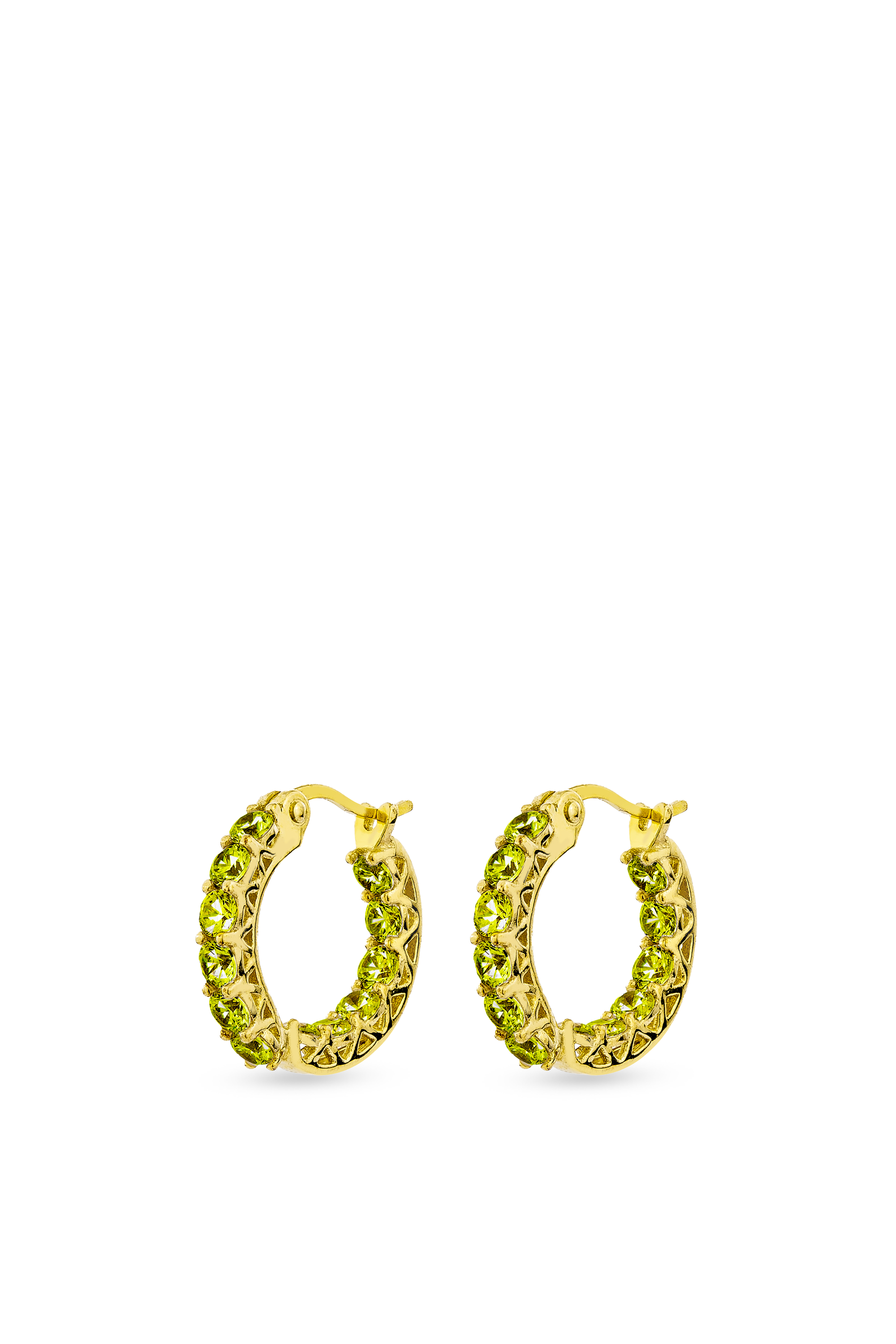 Luxe Hoop Petite Earrings