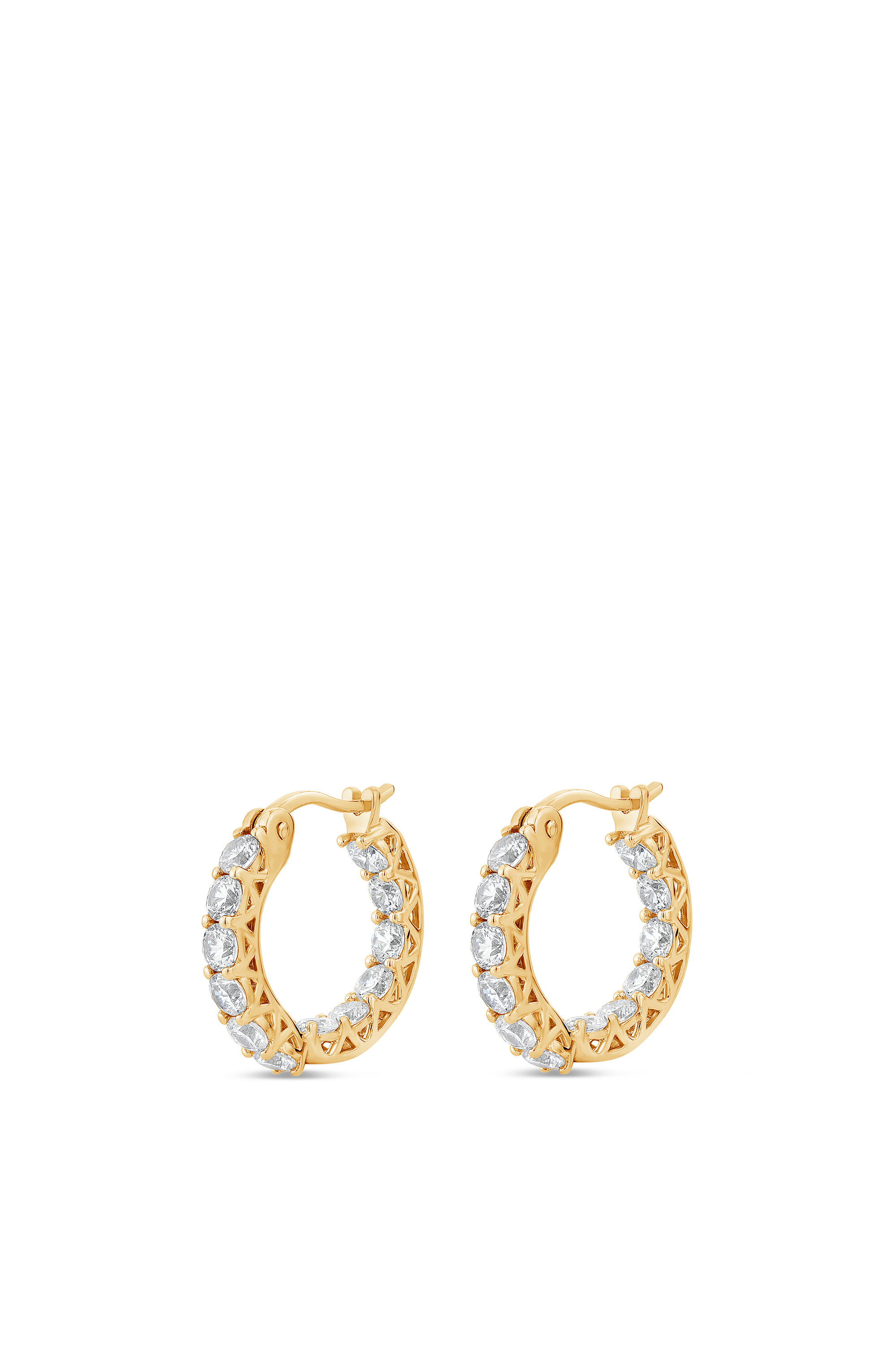 Luxe Hoop Petite Earrings