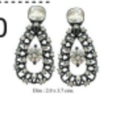 Earrings 1 (ANAX)