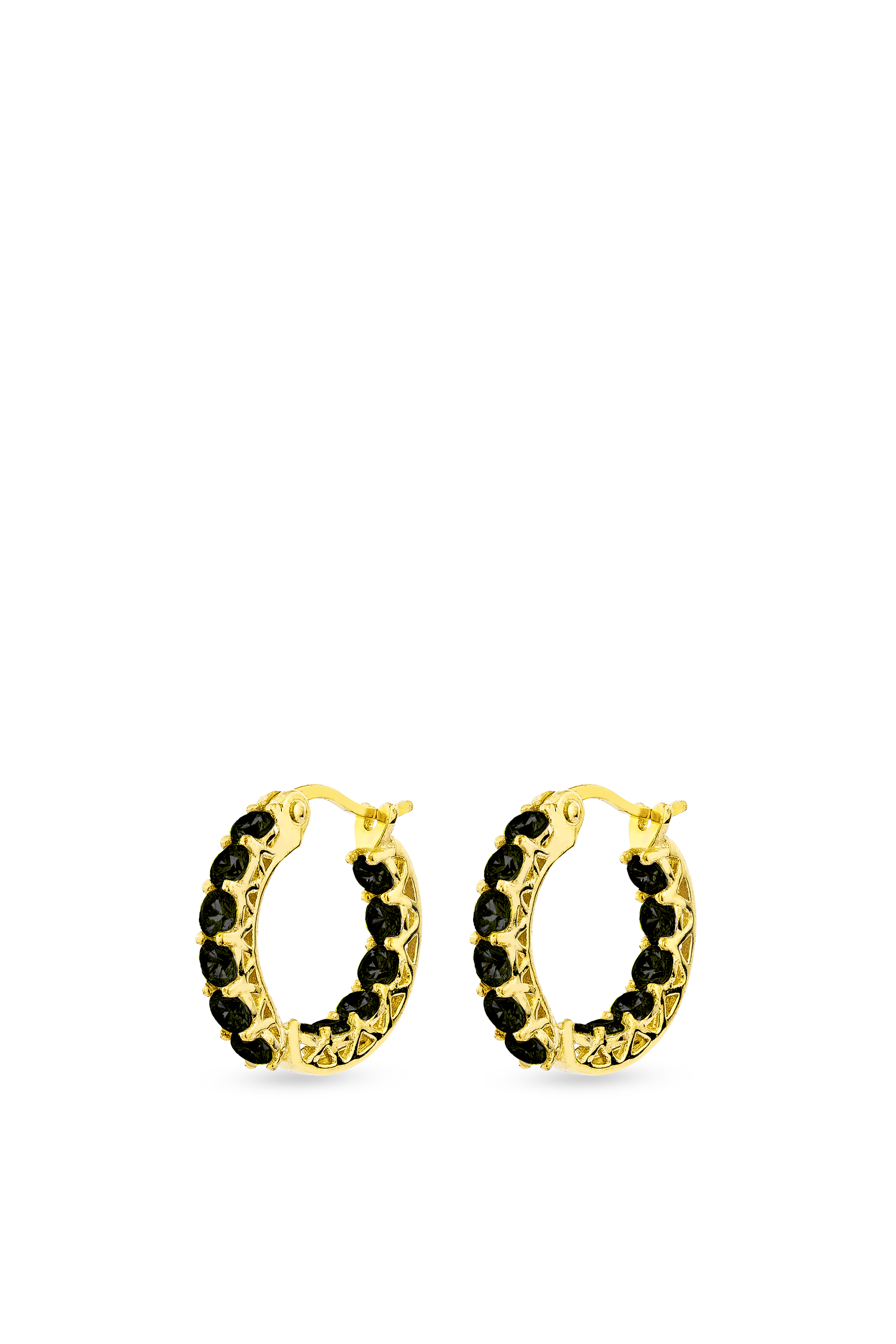 Luxe Hoop Petite Earrings