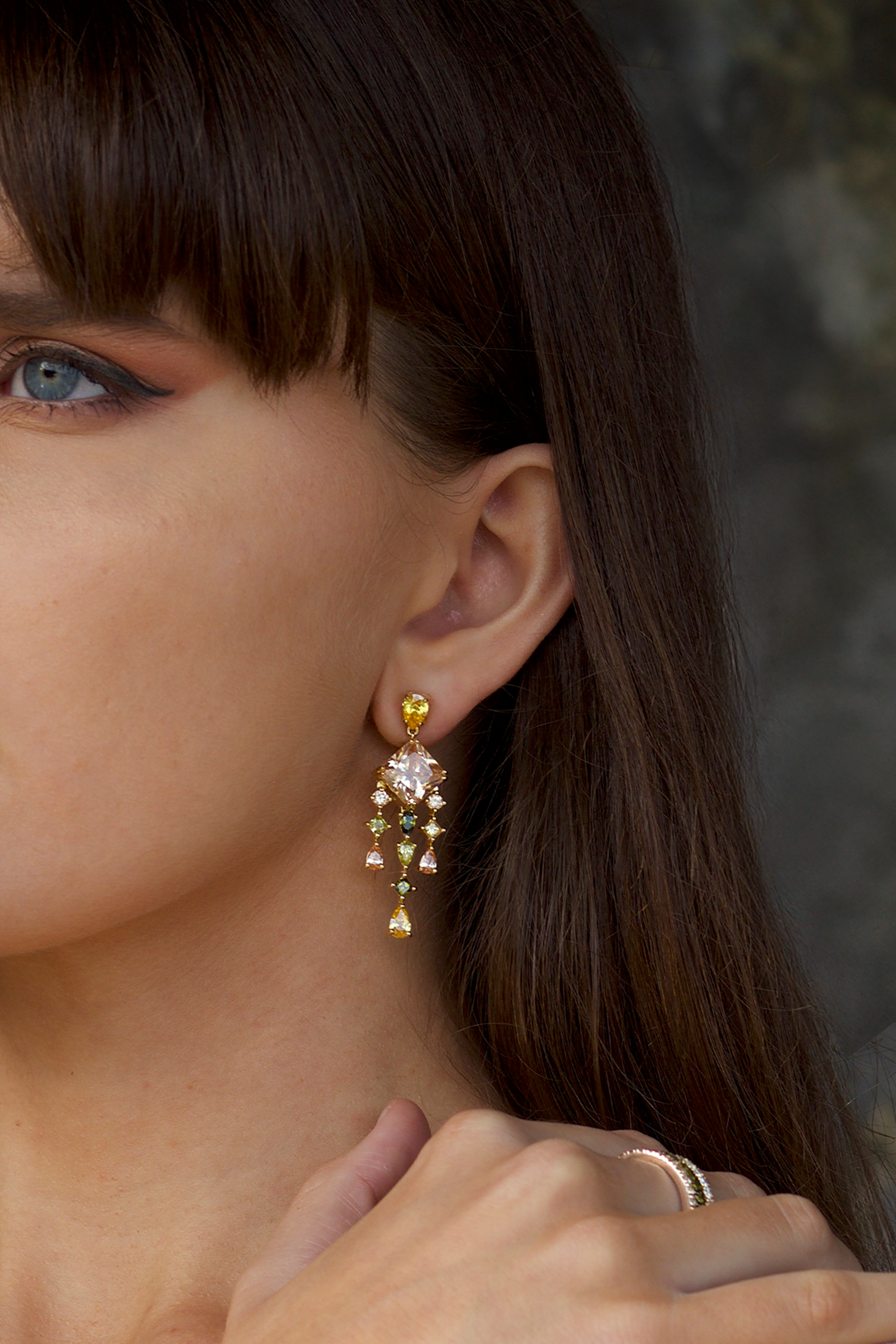 Luxe Jewel Earrings