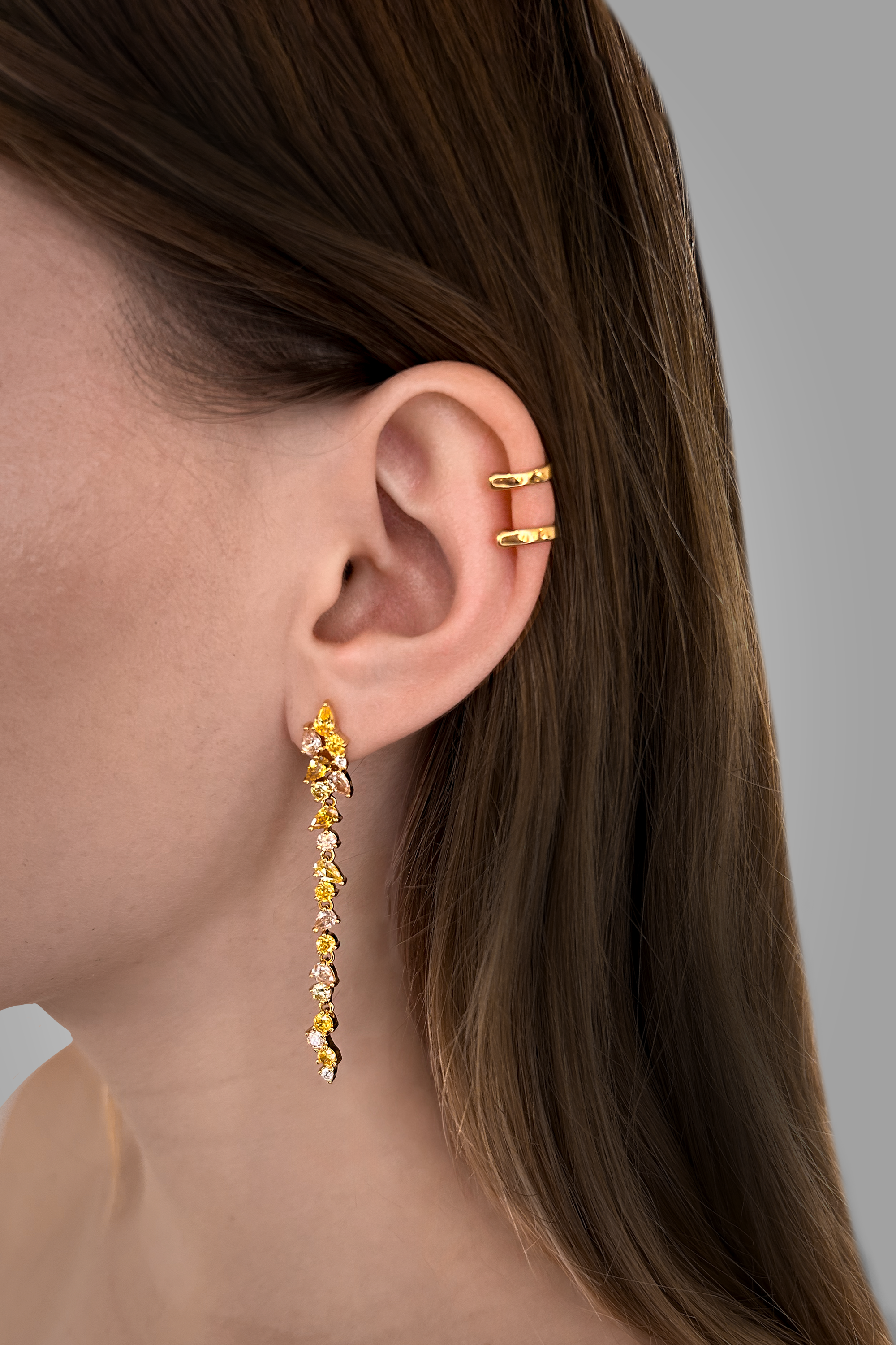 Renewed Earrings